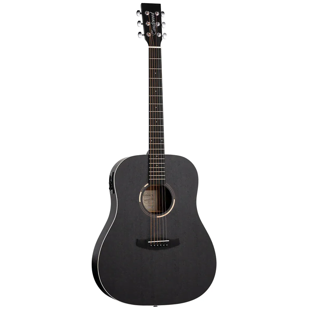 Электроакустическая гитара TANGLEWOOD TWBB SD E